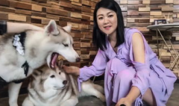 狗操人视频,揭秘动物与人类关系的微妙平衡